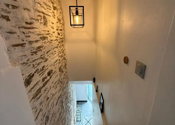 Maison Avec Jacuzzi Extérieur Сasa de vacaciones Le Fief-Sauvin